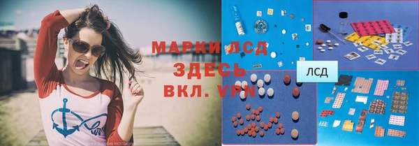 трава Аркадак