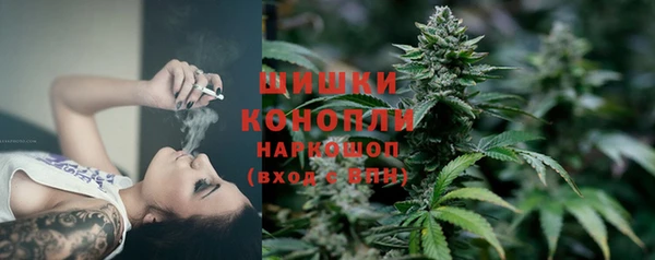 трава Аркадак