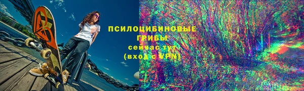 трава Аркадак