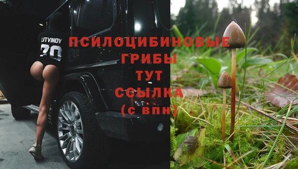 дживик Армянск