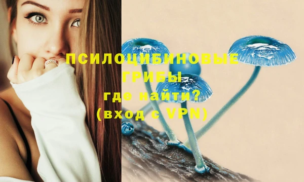круглые Арсеньев