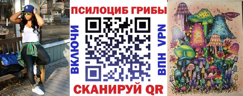 Купить  Усть-Катав  Псилоцибиновые грибы Magic Shrooms 